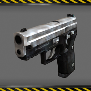 SIG P229